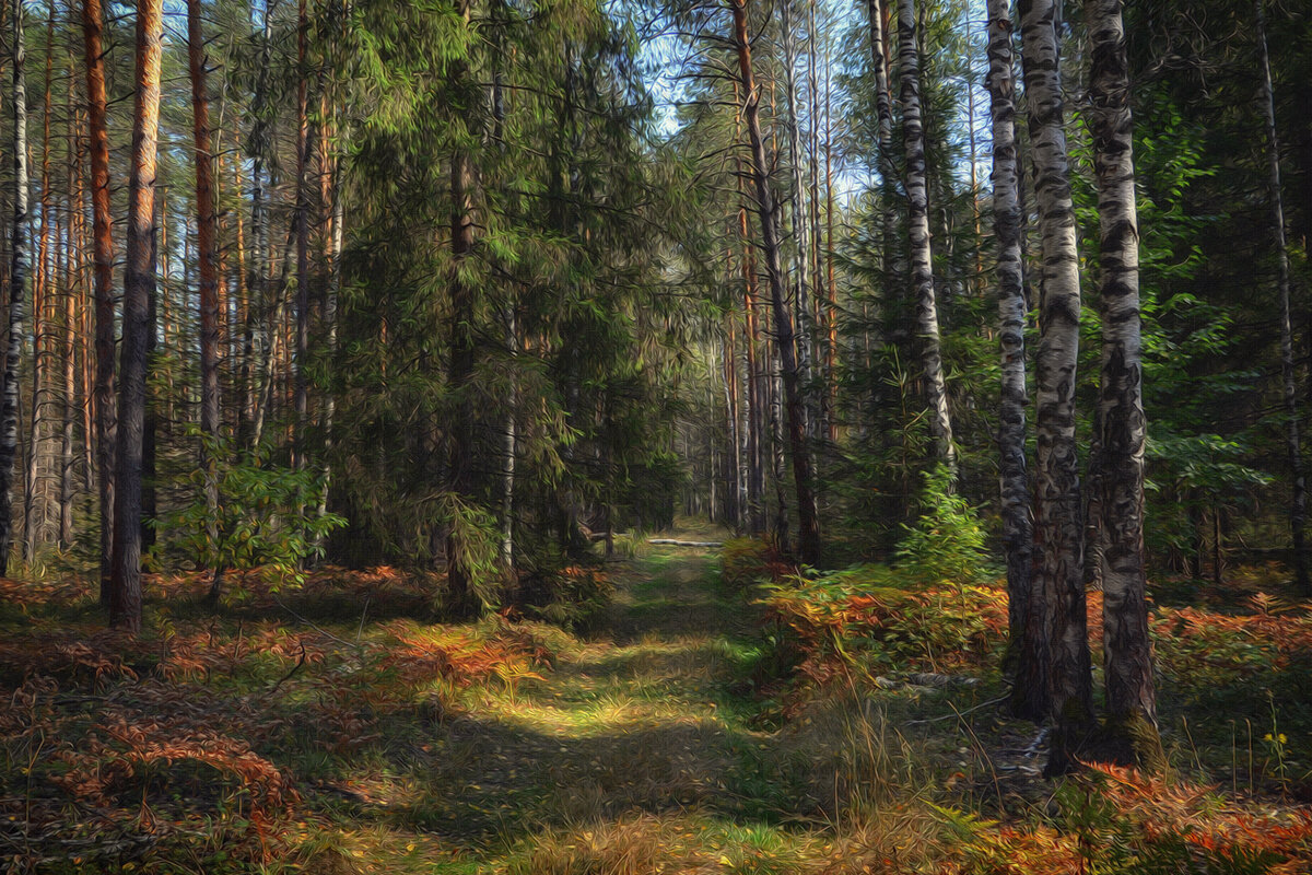 Осенний лес - Алексей (GraAl)