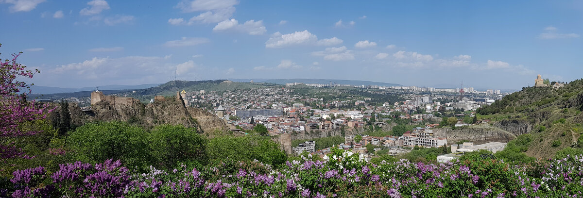 Панорама Тбилиси - Наталья (D.Nat@lia)