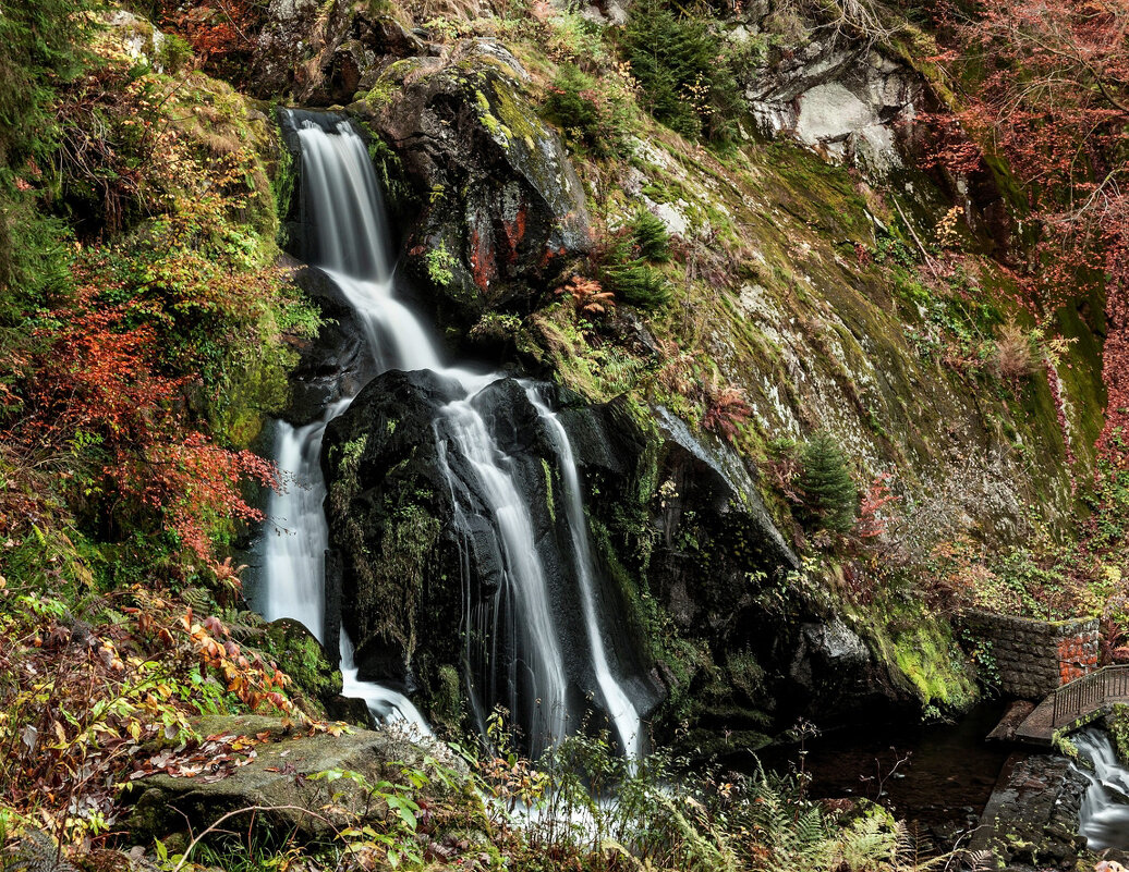 Водопад Триберг (Triberger Waterfall) - Bo Nik