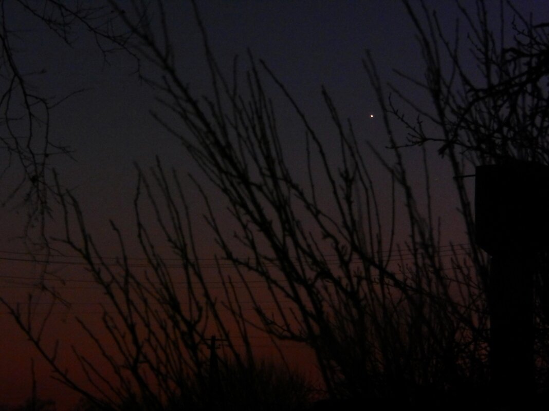 Венера в пурпурном закате - Alisa Koteva 