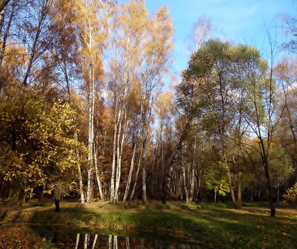 акварель осени - Валентина. .