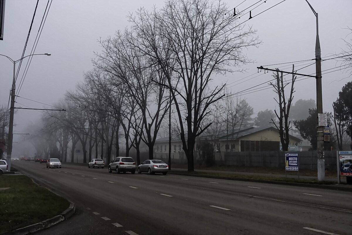 Туман в городе - ~ Николай ~ 
