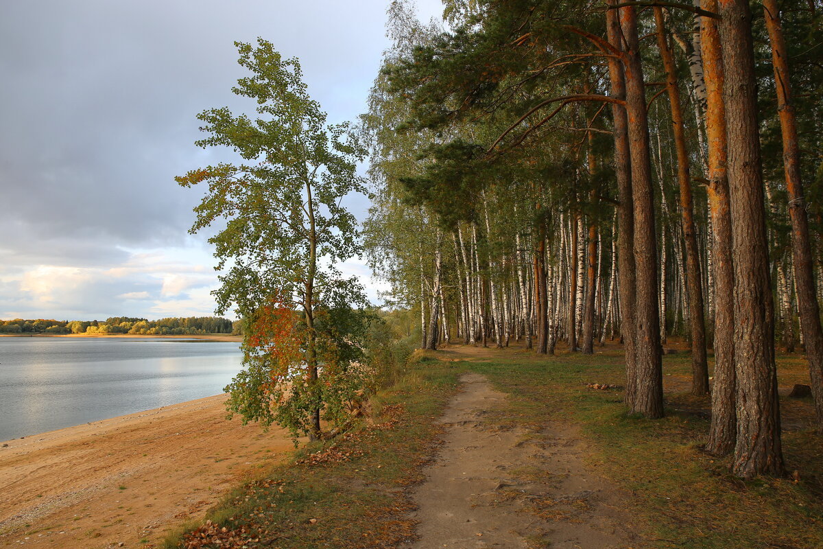 Осень - галина северинова