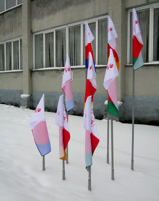 Флаги - Радмир Арсеньев