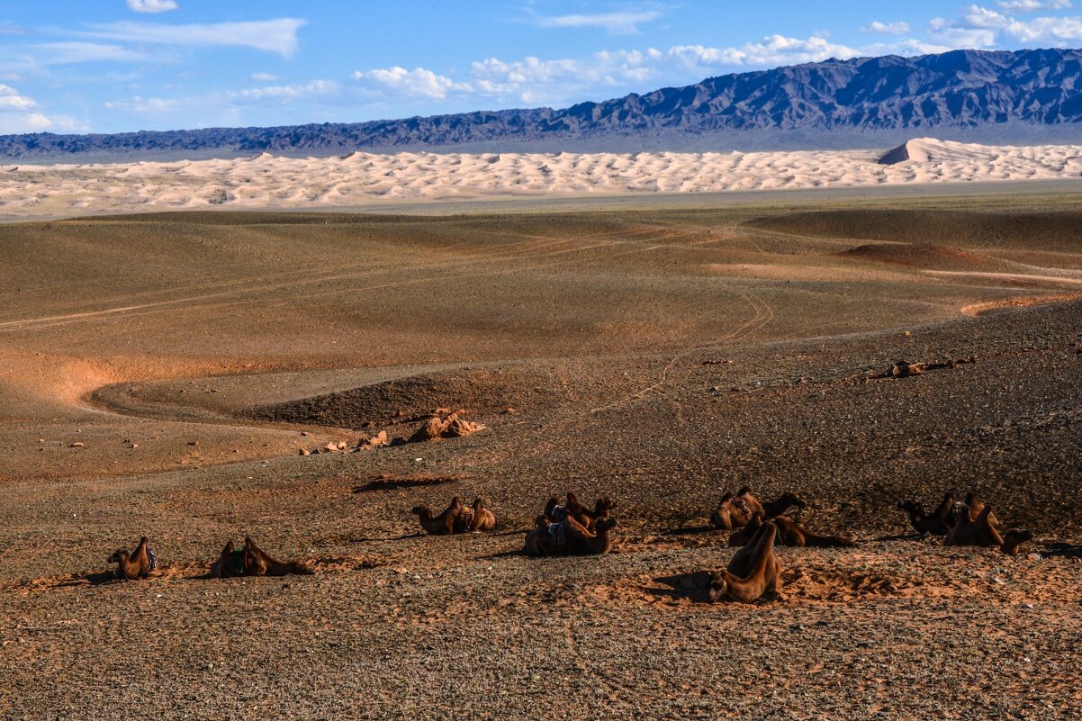 пейзаж плато пустыни Гоби - Георгий А