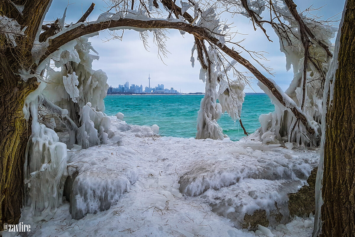 Winter in Toronto - Andy Zav