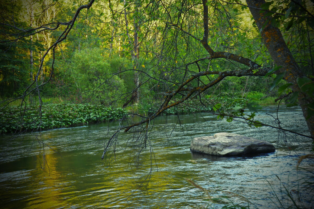Зеленая река... - Galina Serebrennikova