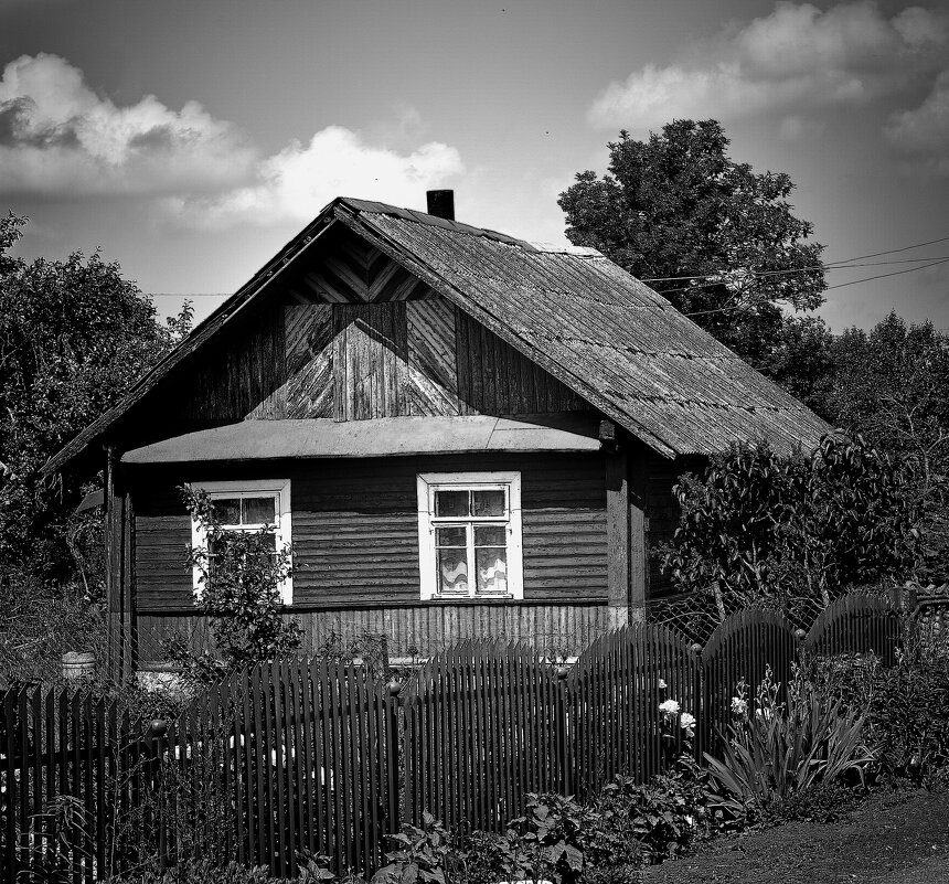 Дом в Сынковичах. Беларусь. - Александр Сапунов