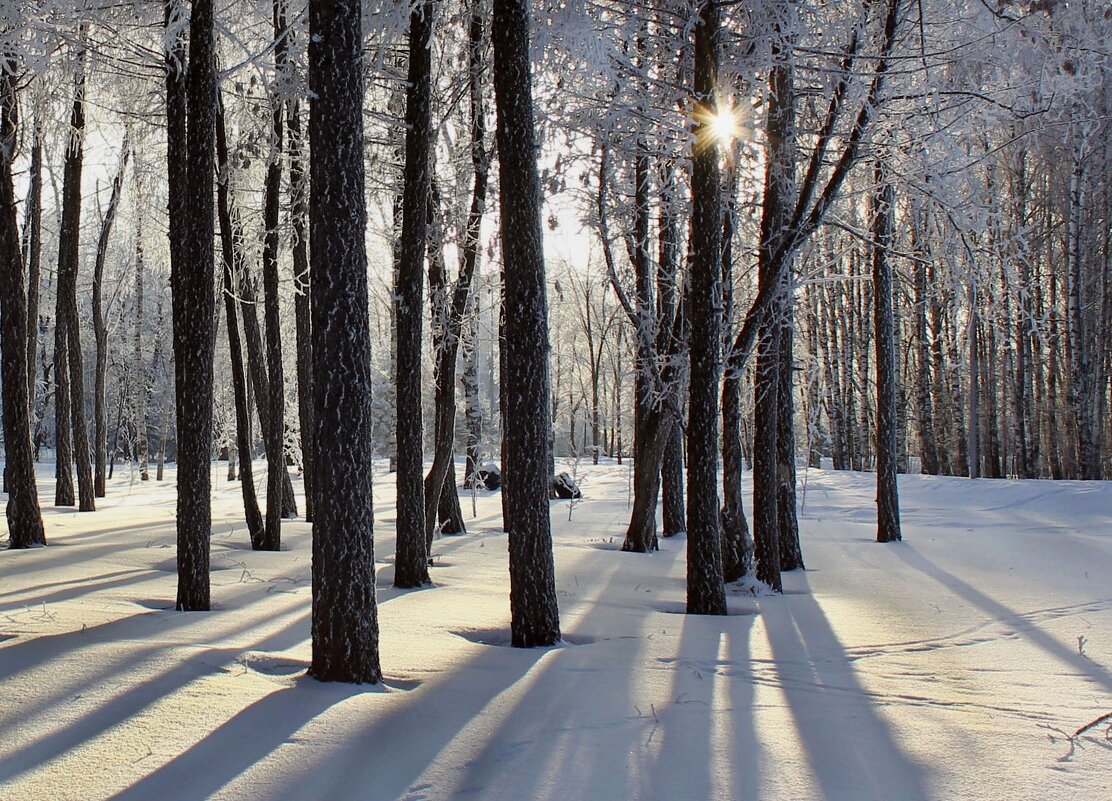 22 декабря - День зимнего солнцестояния! - Ната Волга