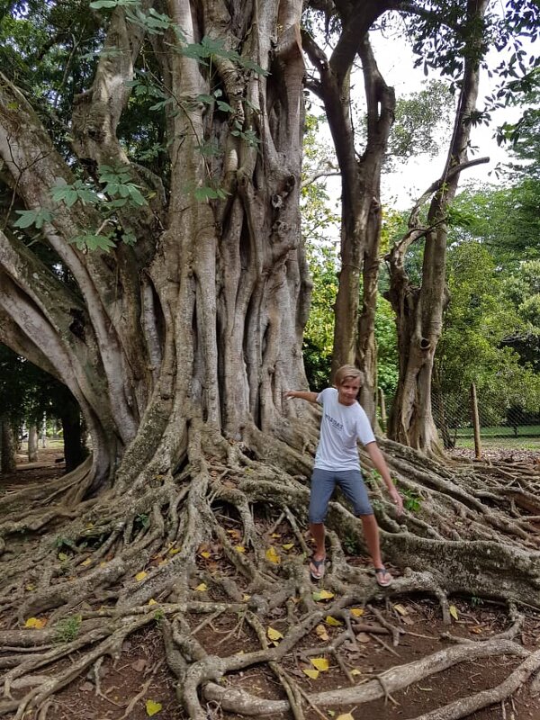 Индийский Океан.MAURITIUS - Jakob Gardok