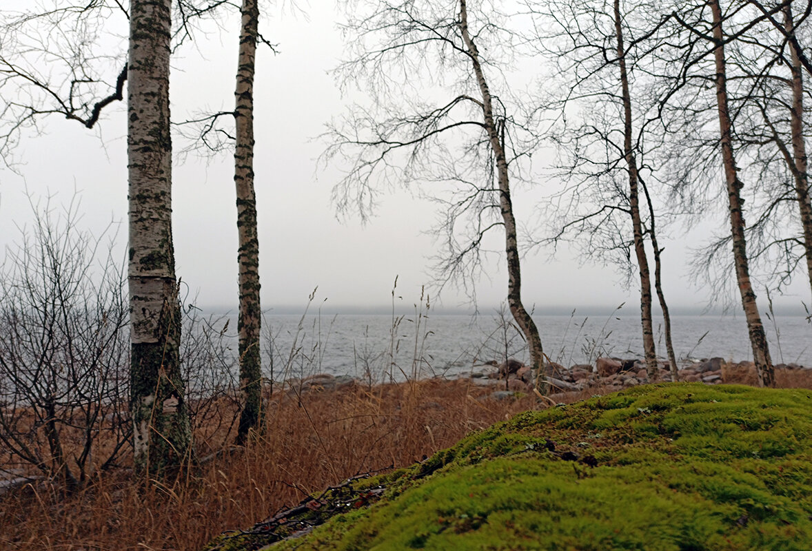 Берег Ладожского озера в декабре - VL 