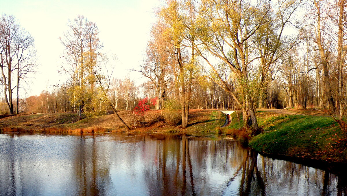 Осенью в Ал. парке ЦС - Сергей 