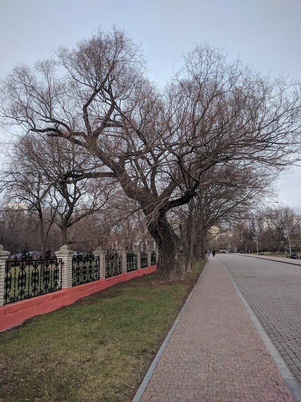 По дороге в музей - Марина Птичка