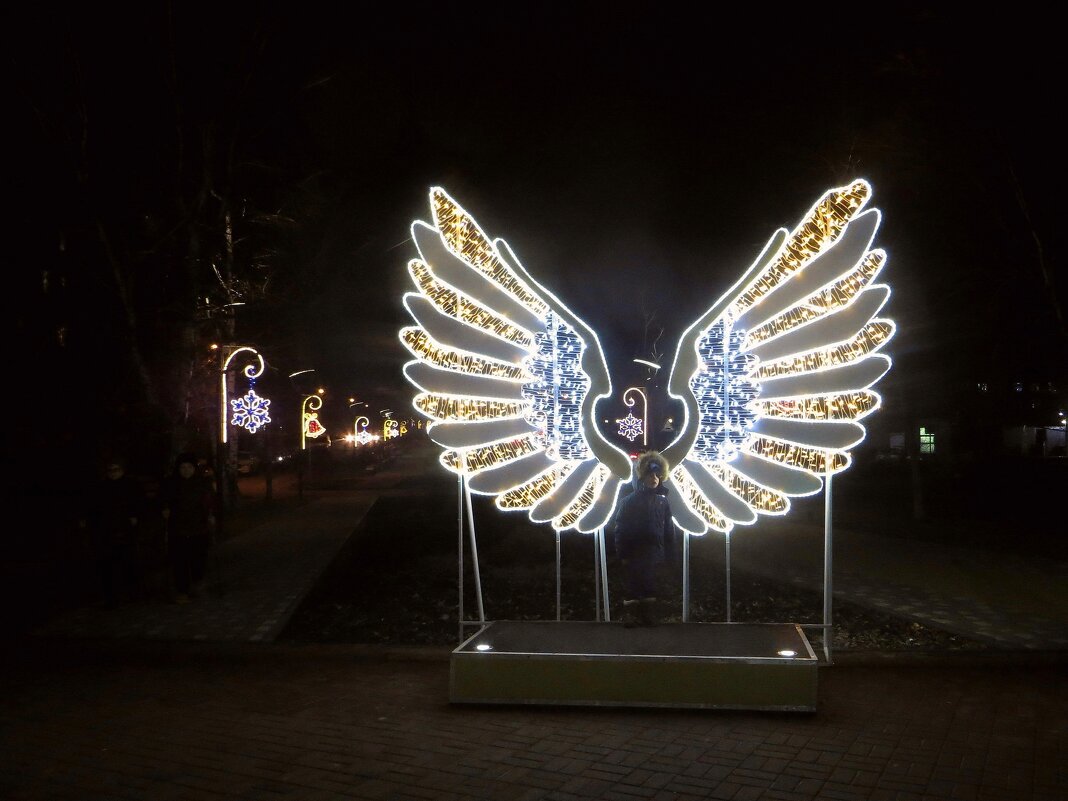Крылья Ангела в темноте - Татьяна Смоляниченко