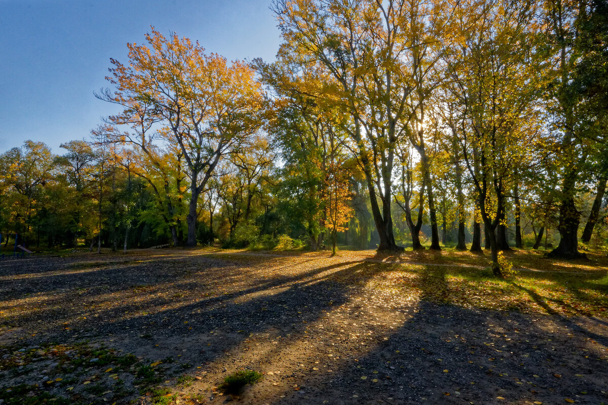 Осень в парке - Дмитрий Емельянов