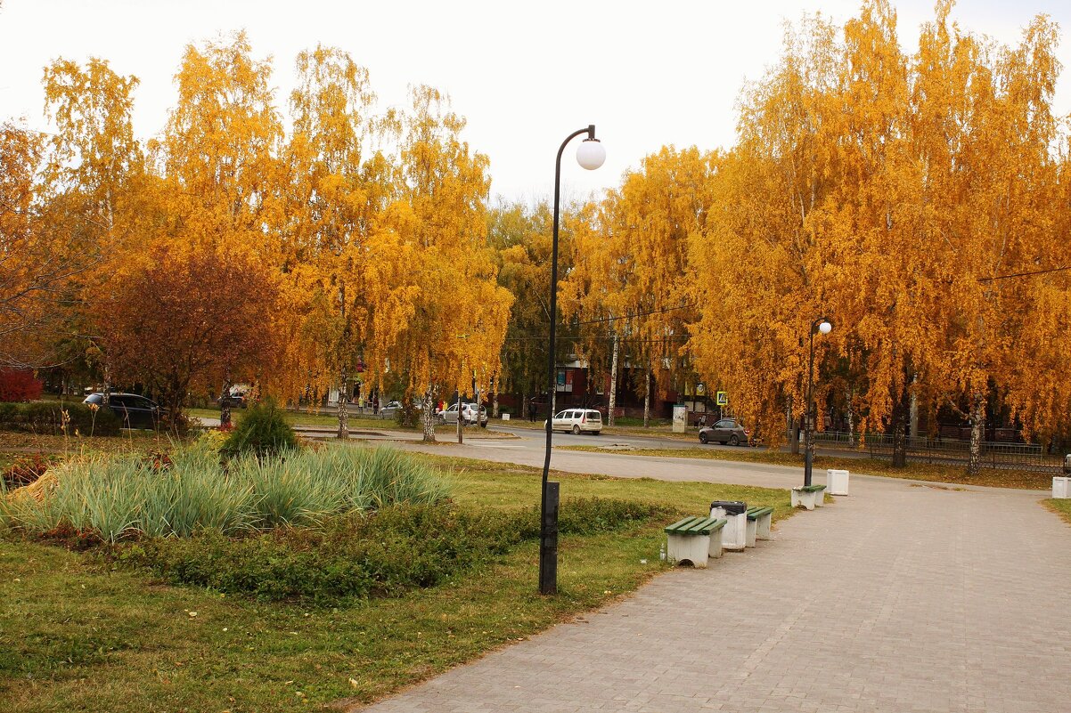 Жёлтый парк. - sav-al-v Савченко