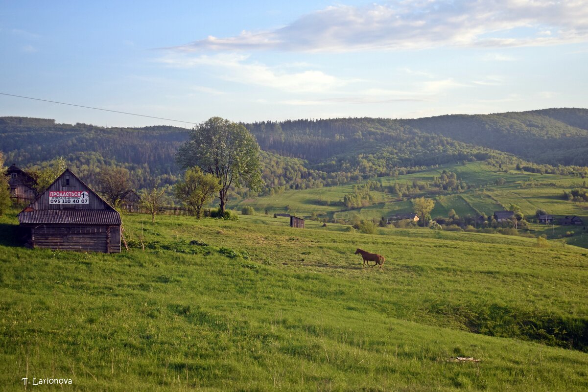 В Карпатах - Татьяна Ларионова