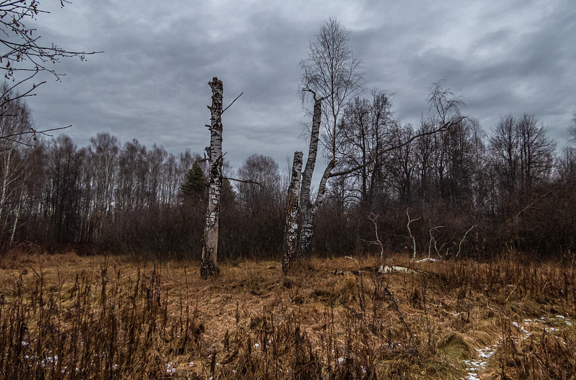 *** - Сергей Цветков