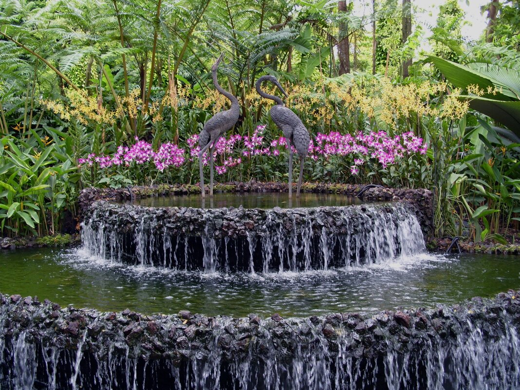 Фонтан в парке орхидей  Сингапура - Ольга Довженко