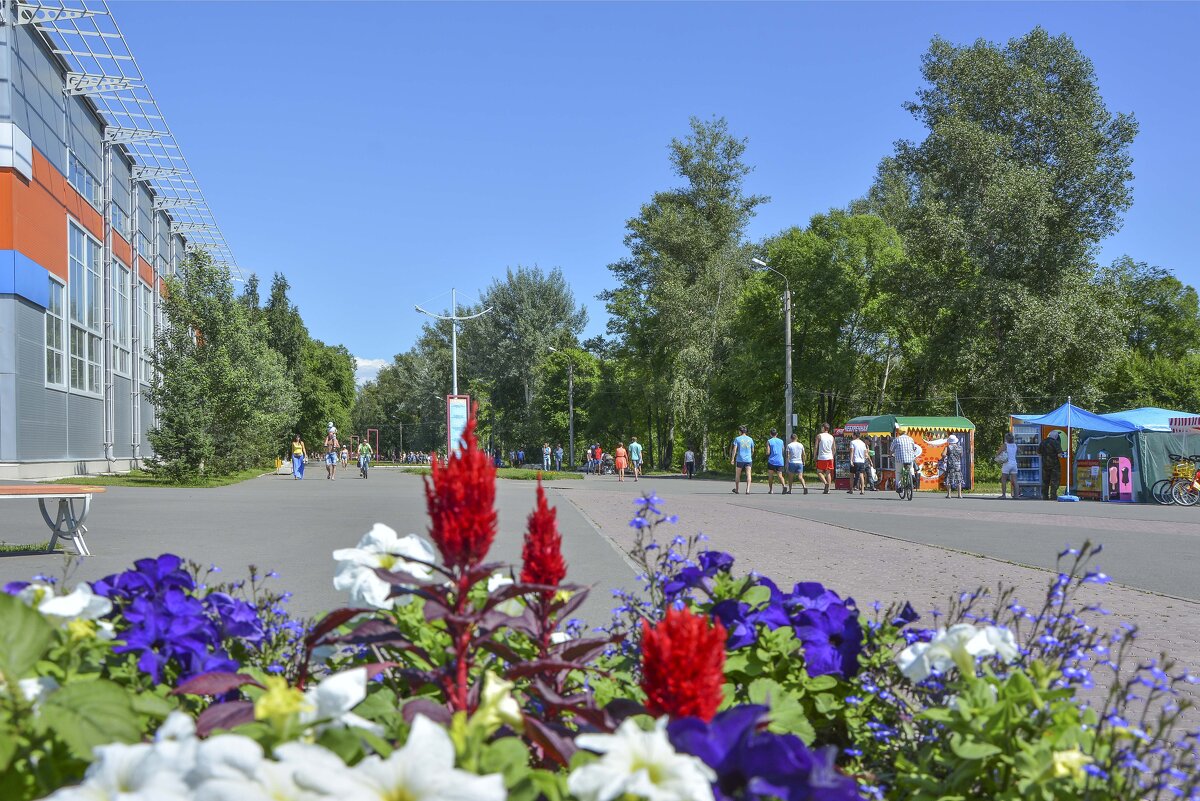 Городской парк. - юрий Амосов