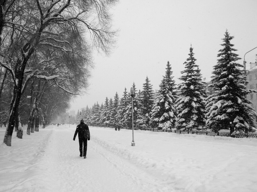 Зима - Радмир Арсеньев