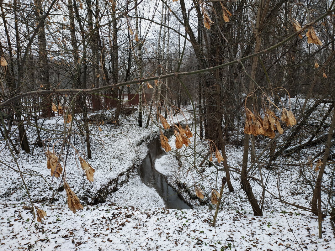 Учусь снимать почти нецветную часть зимы - Андрей Лукьянов