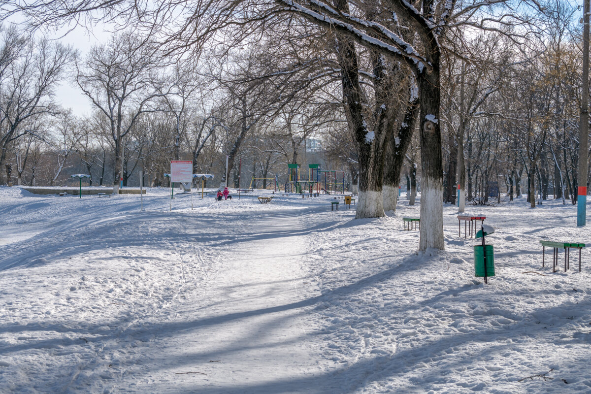 В зимнем парке - Игорь Сикорский