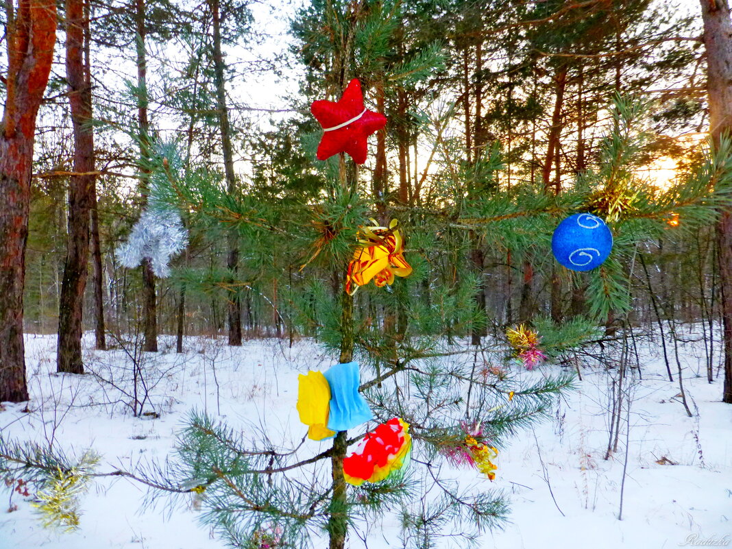 Встречаем Новый год в лесу - Raduzka (Надежда Веркина)