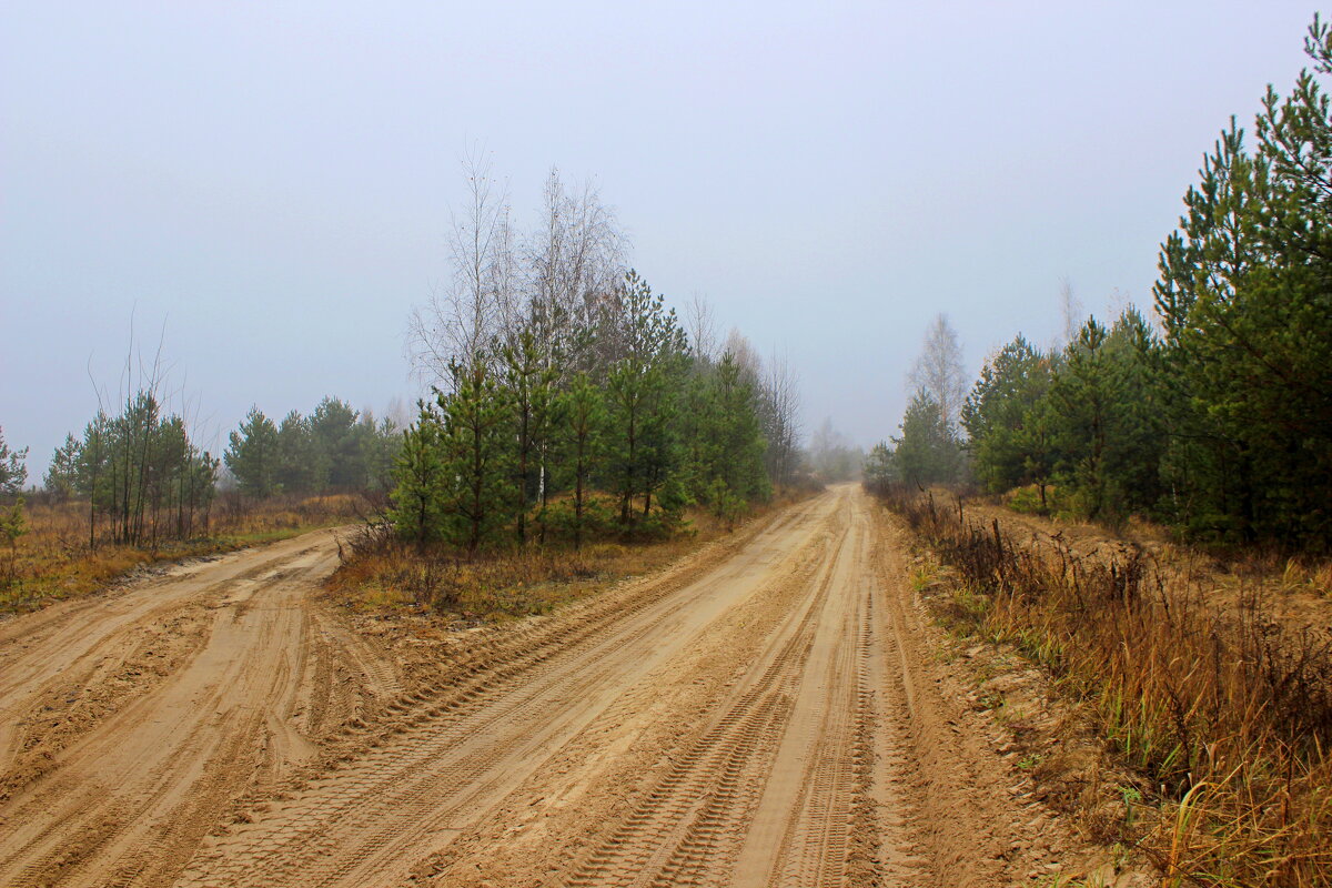 Дорога - Сергей 