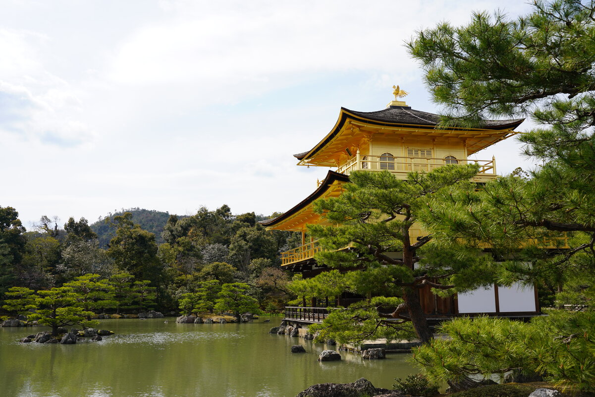 Золотой павильон (Кинкакудзи),Киото, Япония - Иван Литвинов