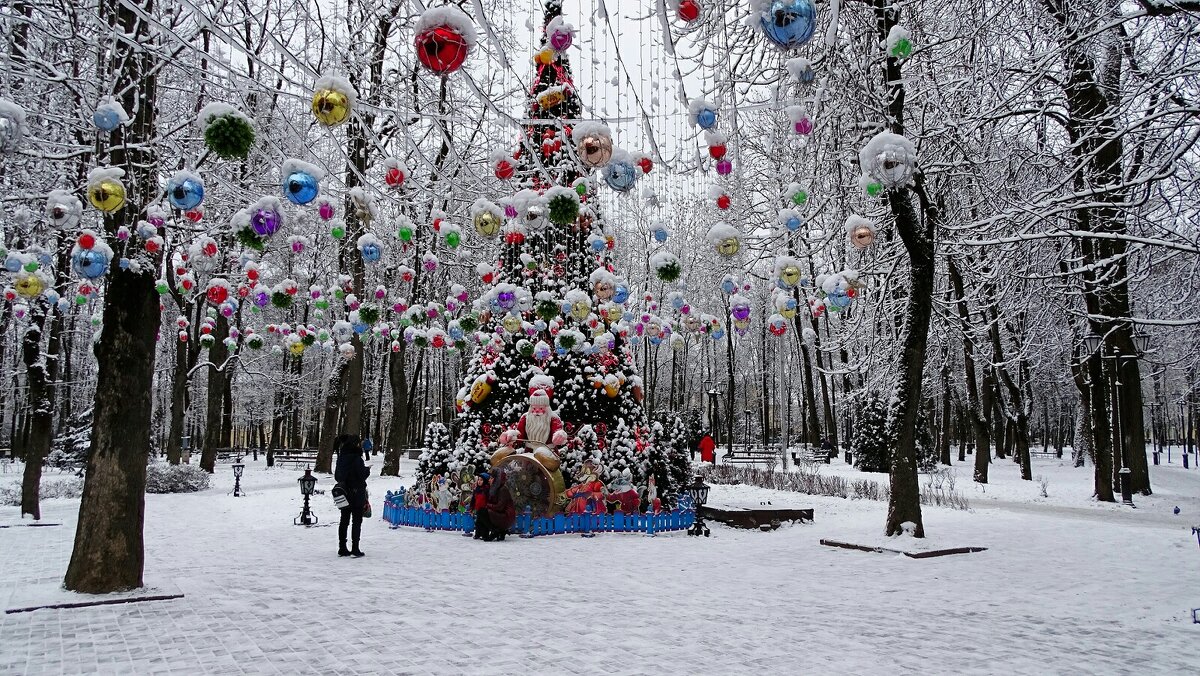 Новогодняя красавица - ёлка в городском саду - Милешкин Владимир Алексеевич 