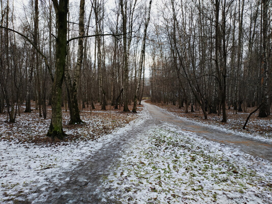 Типичный пейзаж нынешней зимы - Андрей Лукьянов