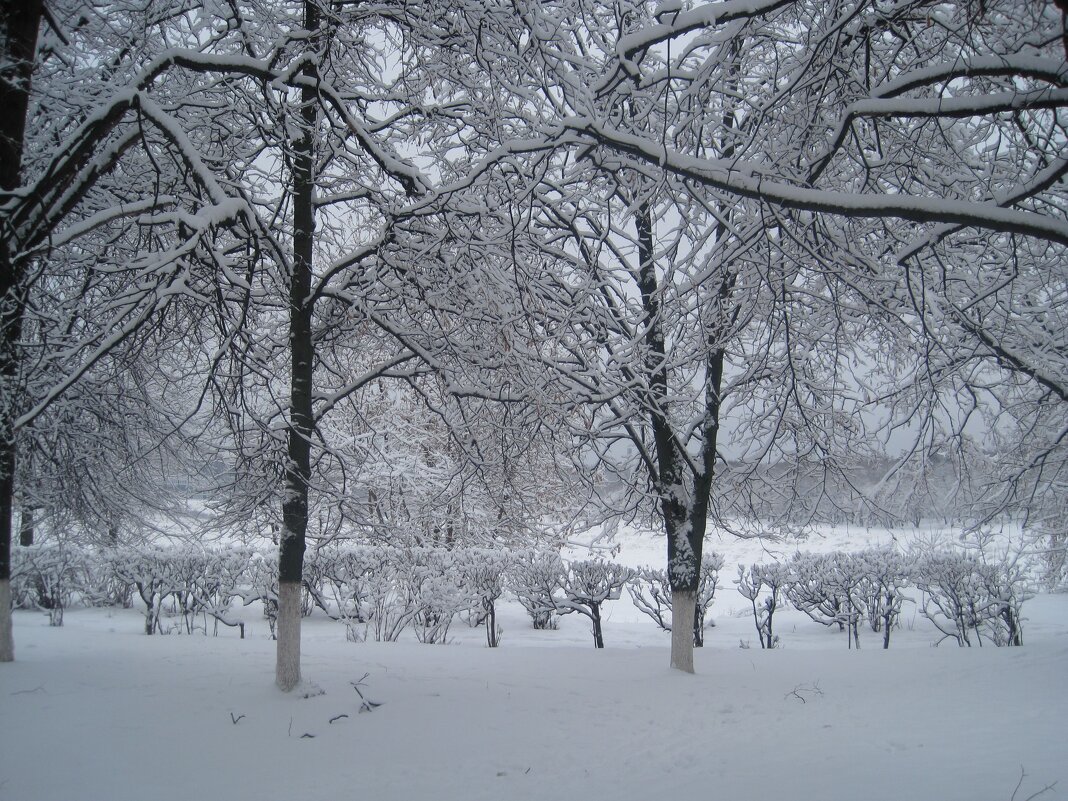 Однажды зимой - Елена Семигина