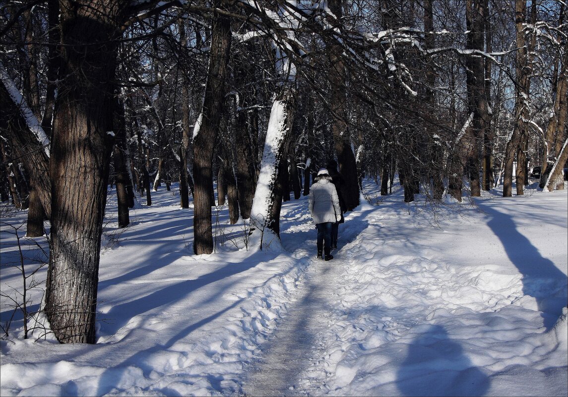 Погуляем в январе - ZNatasha -