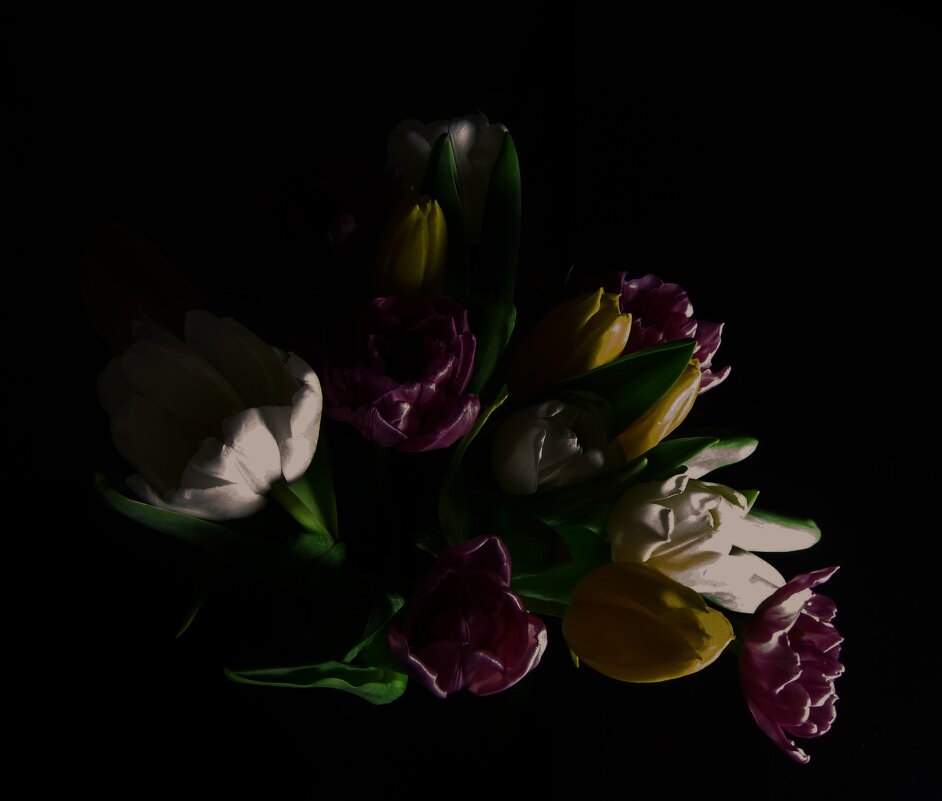 Тюльпаны - Tanja Gerster