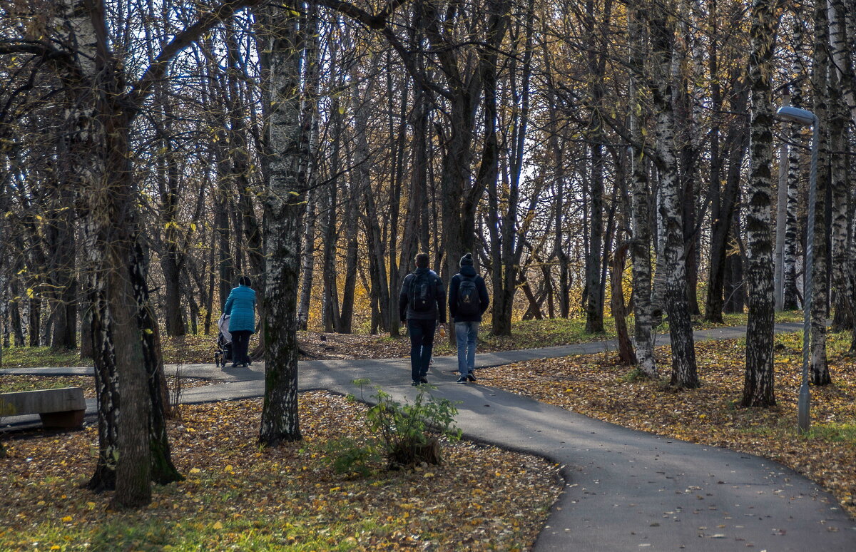 Осенью в парке - gribushko грибушко Николай