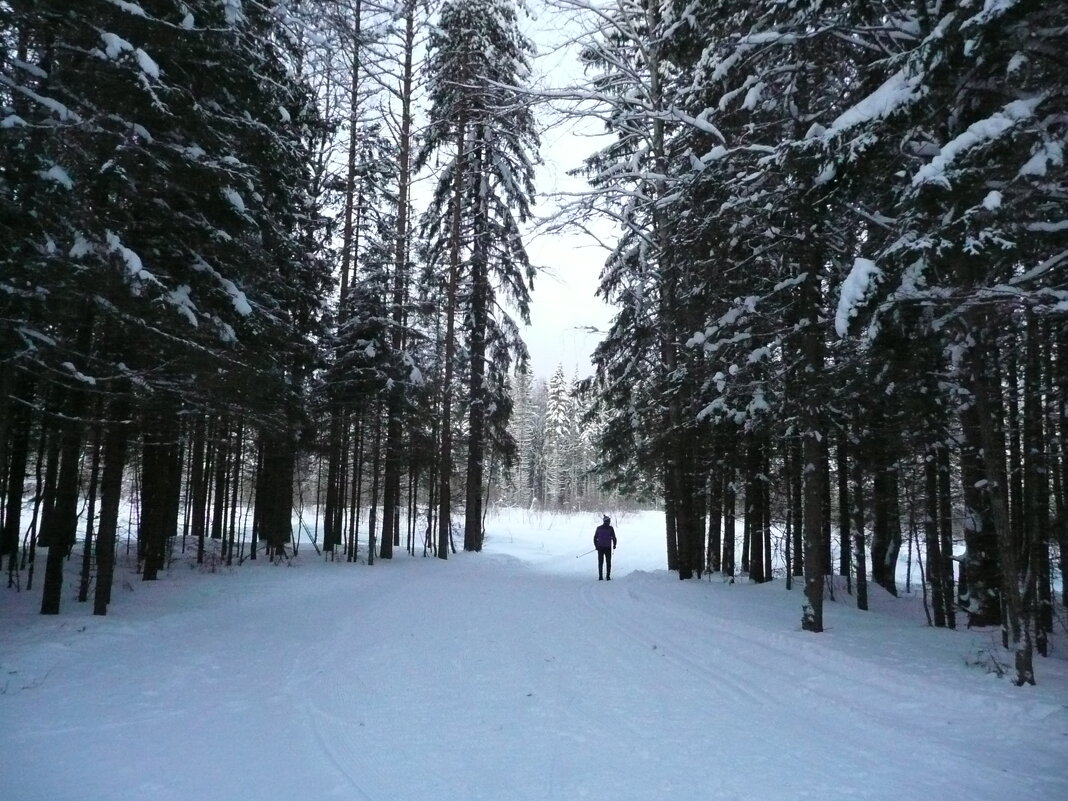 На лесной лыжне - Виктор 