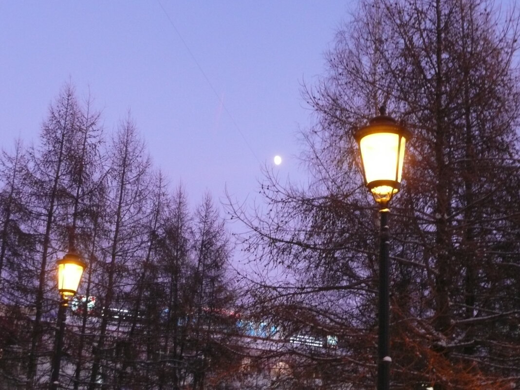 Луна и фонари - Виктор 