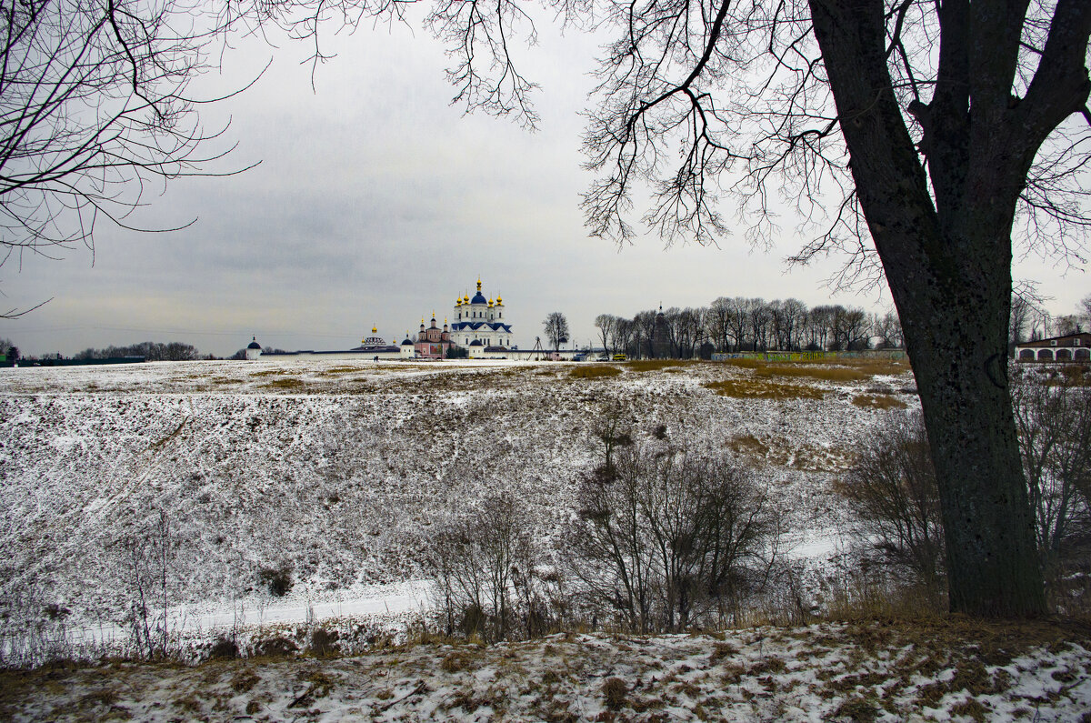 Взгляд на Свенский монастырь в январе - Евгений 