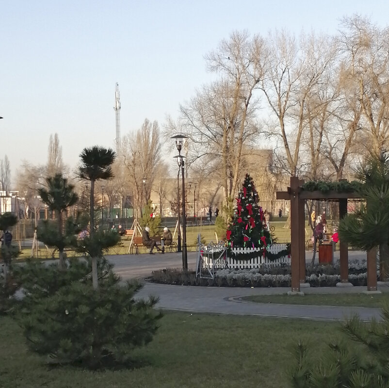 В кои веки ещё доведётся в январе посидеть-погреться на солнышке... - Тамара Бедай 