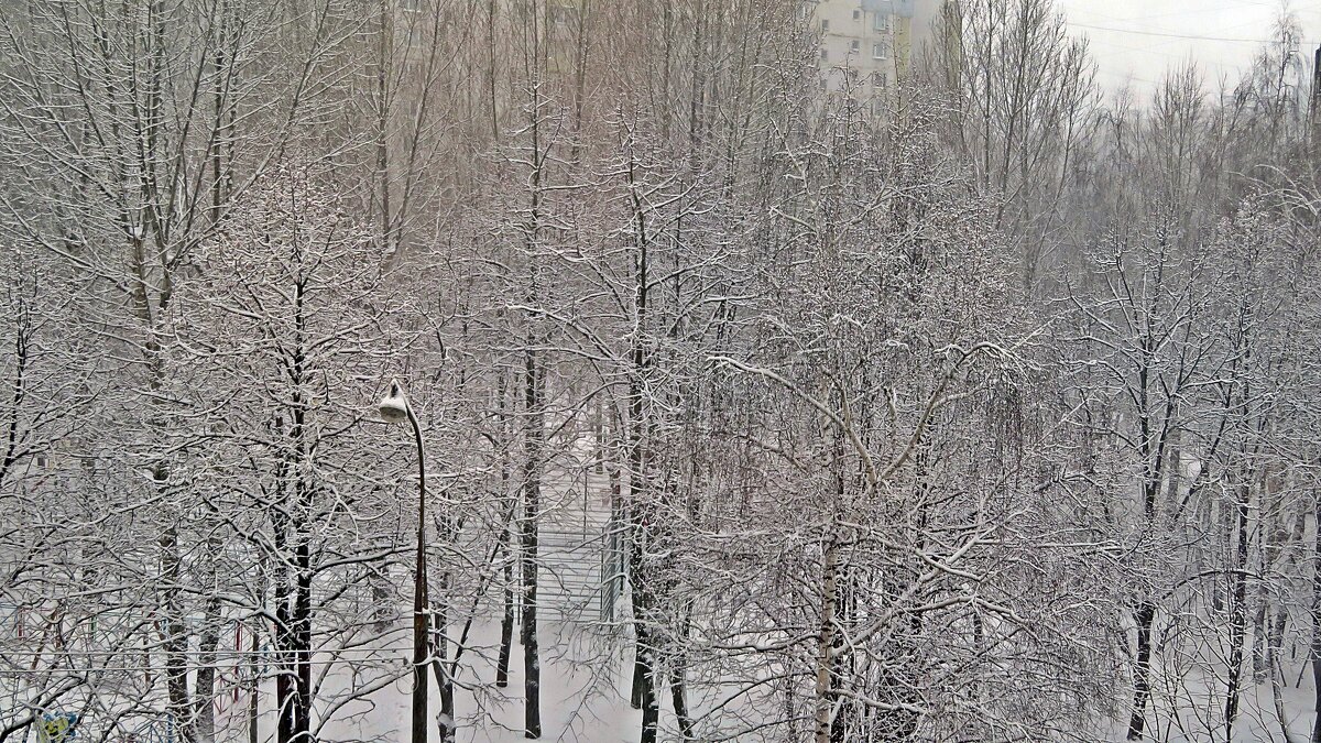 "Всю ночь на улице мело и  на  дворе  белым бело....!!С настоящим снегом ДРУЗЬЯ! - Виталий Селиванов 