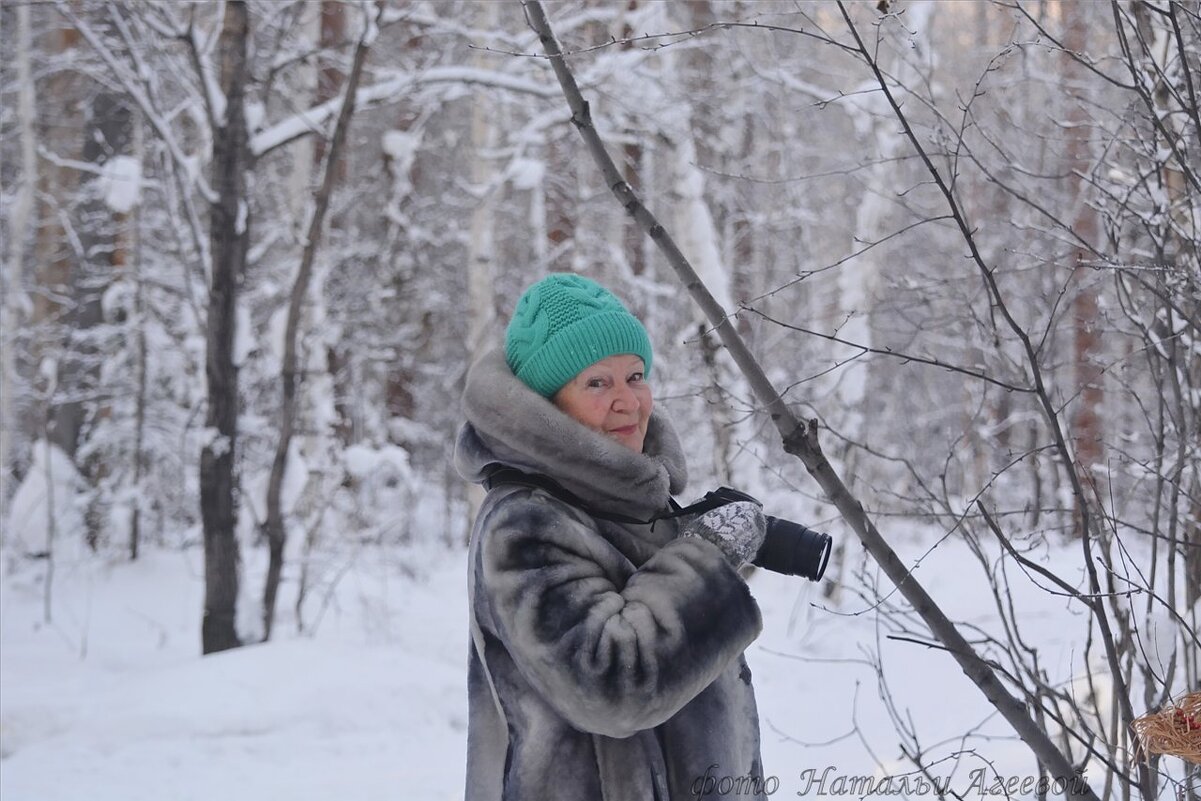 В зимнем лесу. Фотоохота за птичками. - Людмила Ковалева