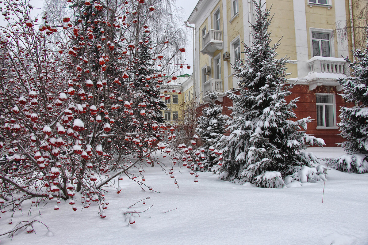 Зима в городе - Nina Karyuk