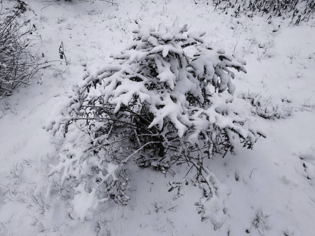 Радуюсь снегу, как ребенок - Андрей Лукьянов