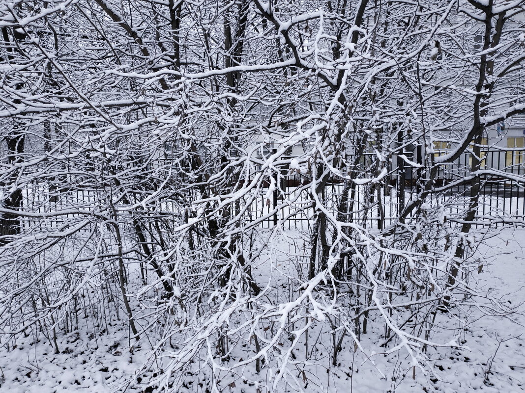 Радуюсь снегу, как ребенок - Андрей Лукьянов