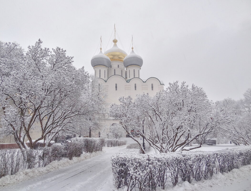 Смоленский собор - Andrey Lomakin