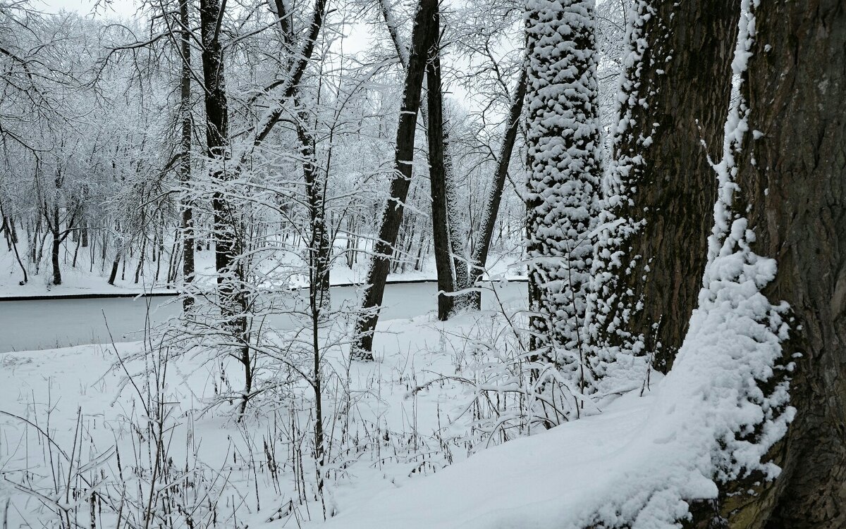 После снегопада - Милешкин Владимир Алексеевич 