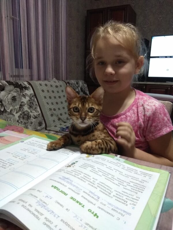 Учёный кот - Ильина Валентина Николаевна 