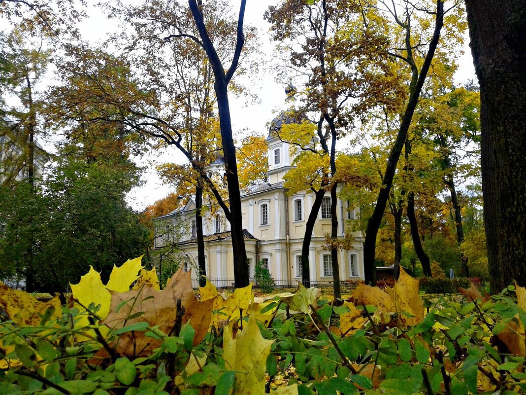 Царское село.Пушкин. - Елена Вишневская