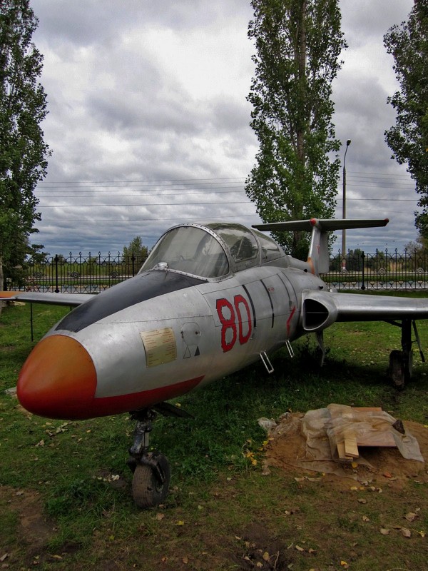 Учебный самолёт Л-29 - Павел Зюзин